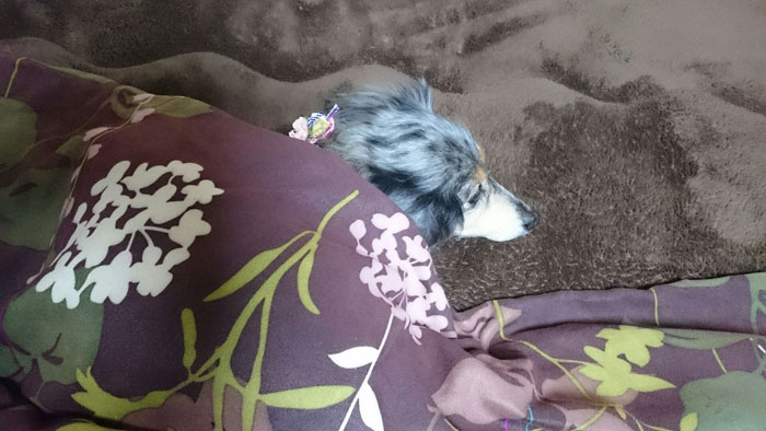 私の可愛いケイちゃん