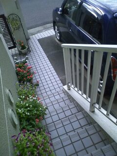 そりゃ綺麗っすよ