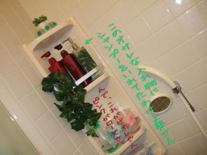 私は絶対に忘れへんで!赤星最高や! 私は絶対に忘れへんで!赤星最高や!